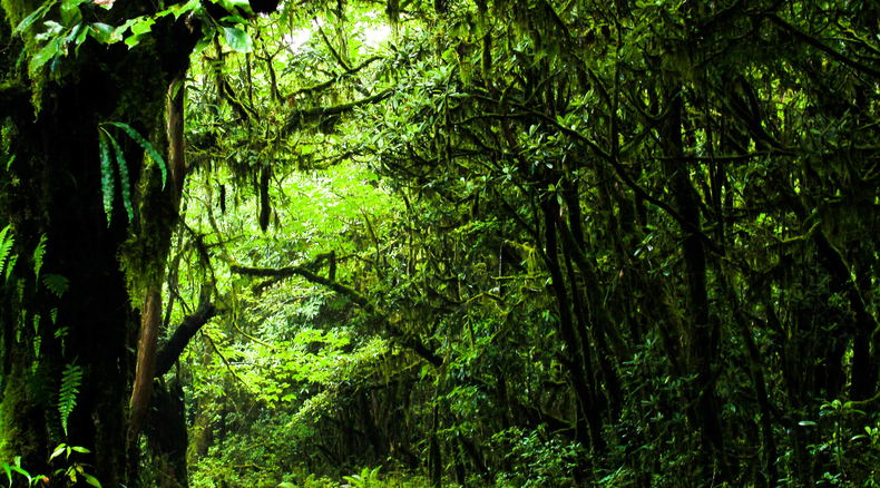 Off the Beaten Activities, Nature Hike in Bhutan, Spiritual Hike in Bhutan, Bhutan Tour and Treks Off the Beaten Activities, Nature Hike in Bhutan, Spiritual Hike in Bhutan, Bhutan Tour and Treks