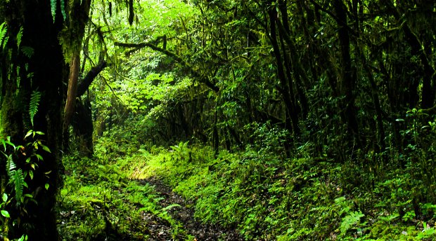 Off the Beaten Activities, Nature Hike in Bhutan, Spiritual Hike in Bhutan, Bhutan Tour and Treks Off the Beaten Activities, Nature Hike in Bhutan, Spiritual Hike in Bhutan, Bhutan Tour and Treks