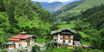 Divine Madman’s Trail