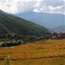 Climate and Seasons in Bhutan, Rice Field in Thimphu, Bhutan in Autumn
