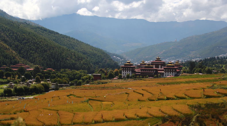 Climate and Seasons in Bhutan, Rice Field in Thimphu, Bhutan in Autumn Climate and Seasons in Bhutan, Rice Field in Thimphu, Bhutan in Autumn