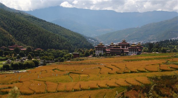 Climate and Seasons in Bhutan, Rice Field in Thimphu, Bhutan in Autumn