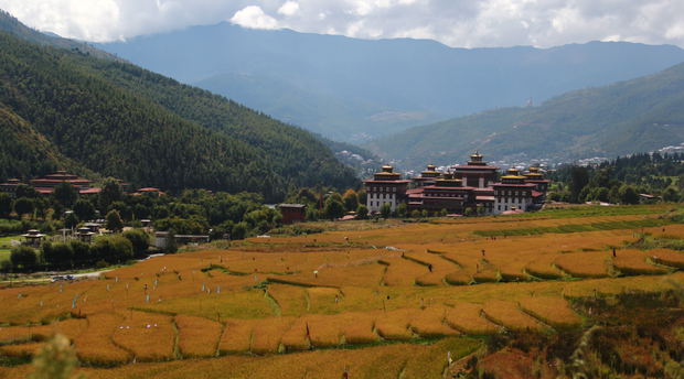 Climate and Seasons in Bhutan, Rice Field in Thimphu, Bhutan in Autumn Climate and Seasons in Bhutan, Rice Field in Thimphu, Bhutan in Autumn