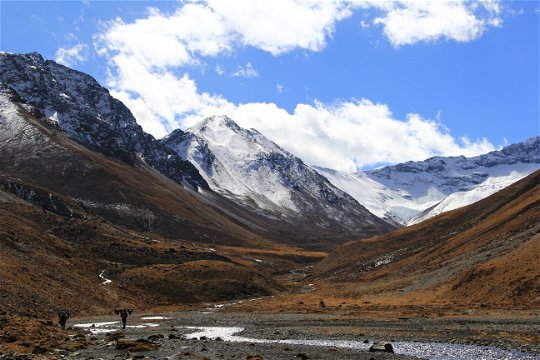 Trekking in Bhutan, Bhutan Trekking Adventure, Bhutan Trekking holiday