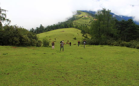 Trekking in Bhutan, Trekking in Himalayas, Bhutan Trekking Packages, Trekking Tour in Bhutan Trekking in Bhutan, Trekking in Himalayas, Bhutan Trekking Packages, Trekking Tour in Bhutan