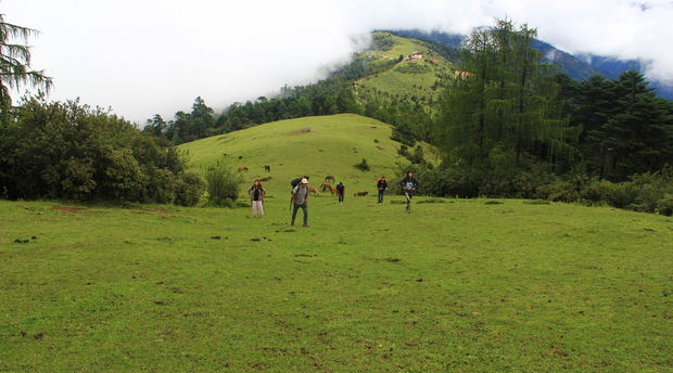 Trekking in Bhutan, Trekking in Himalayas, Bhutan Trekking Packages, Trekking Tour in Bhutan Trekking in Bhutan, Trekking in Himalayas, Bhutan Trekking Packages, Trekking Tour in Bhutan
