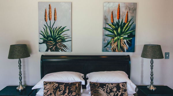 Our Luxury Suites