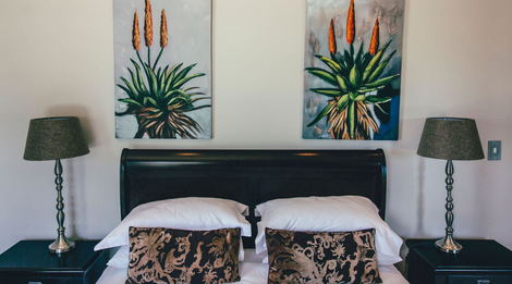 Our Luxury Suites