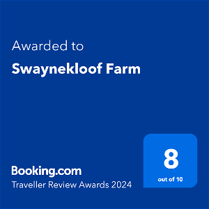 2024 Booking.com Traveller's Award
