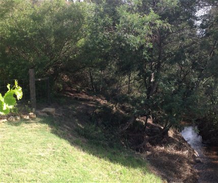 River in front of cabin
