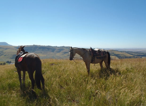 Horse Riding in Central Drakensberg Horse Riding in Central Drakensberg
