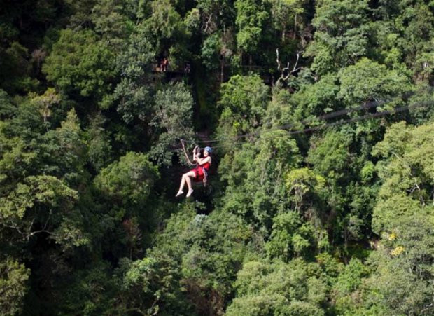 Drakensberg Canopy Tours