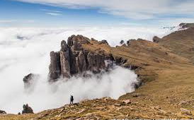 Monks Cowl Nature Reserve