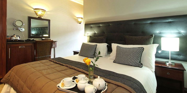 The Elephant Suite: Standard Suite