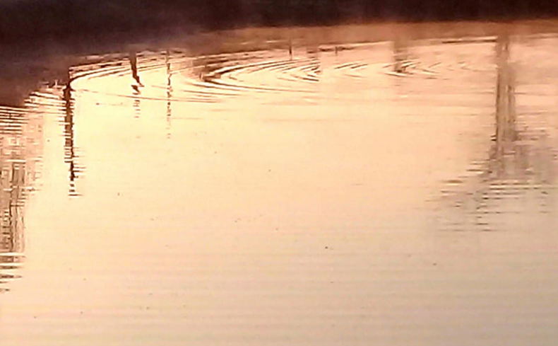 Trout fly fishing on the doorstep to Fourways and the West Rand at Sundowner @ Lanseria Country Estate Trout fly fishing on the doorstep to Fourways and the West Rand at Sundowner @ Lanseria Country Estate