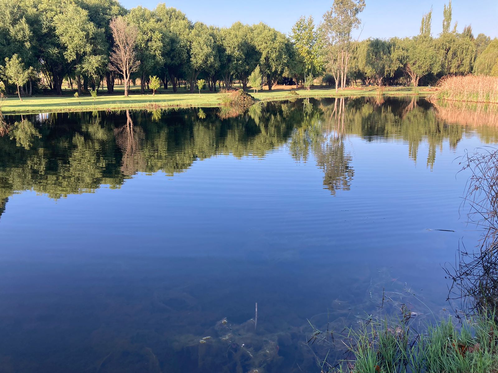 Pristine fishing dams