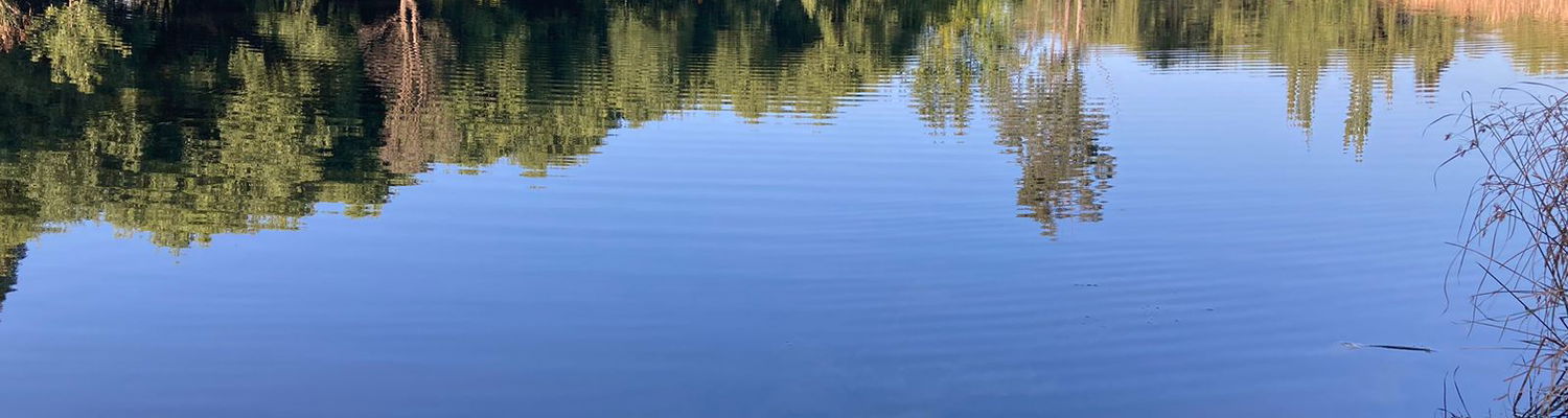 Pristine fishing dams