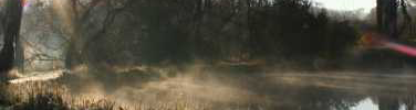Magalies Barbus Haven