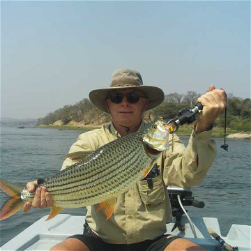 Huge Tiger Fish caught on the Zambezi River