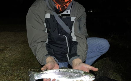 Moonlight trout fishing event with Sundowner at Oxbow Country Estate - 31 July 26