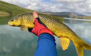 Sterkfontein guided fly-fishing package - Prime Time scheduled trips (26 Jan & 2 Feb 2024)