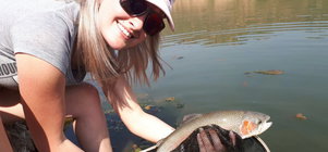 The Great Trout Catch Out Special Sep 2026