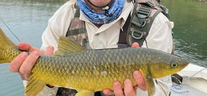 Sterkfontein guided fly-fishing package - Prime Time scheduled trips (Jan-April 2025)