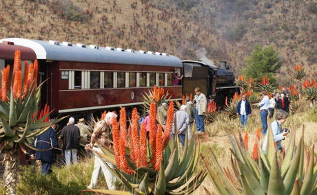 Creighton aloe steam train and hot air balloon festival 2017