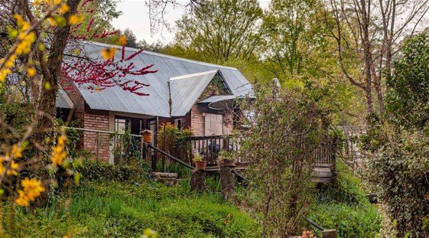 pet friendly family cottage drakensberg riverside cottage pet friendly family cottage drakensberg riverside cottage