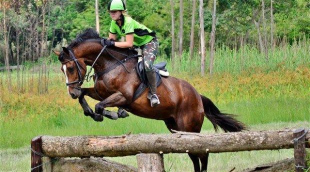 Cross Country Show Jumping Event Underberg