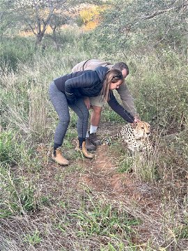 wild dog guest lodge Hoedspruit Kruger Park Big 5