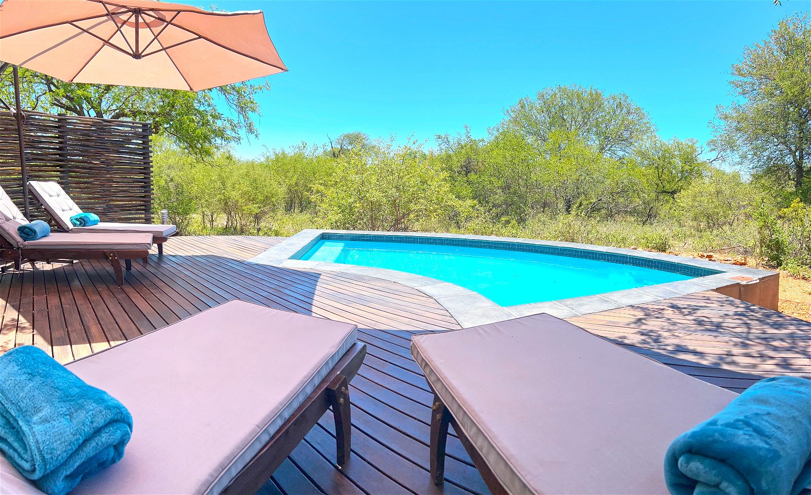 #wilddogguestlodge