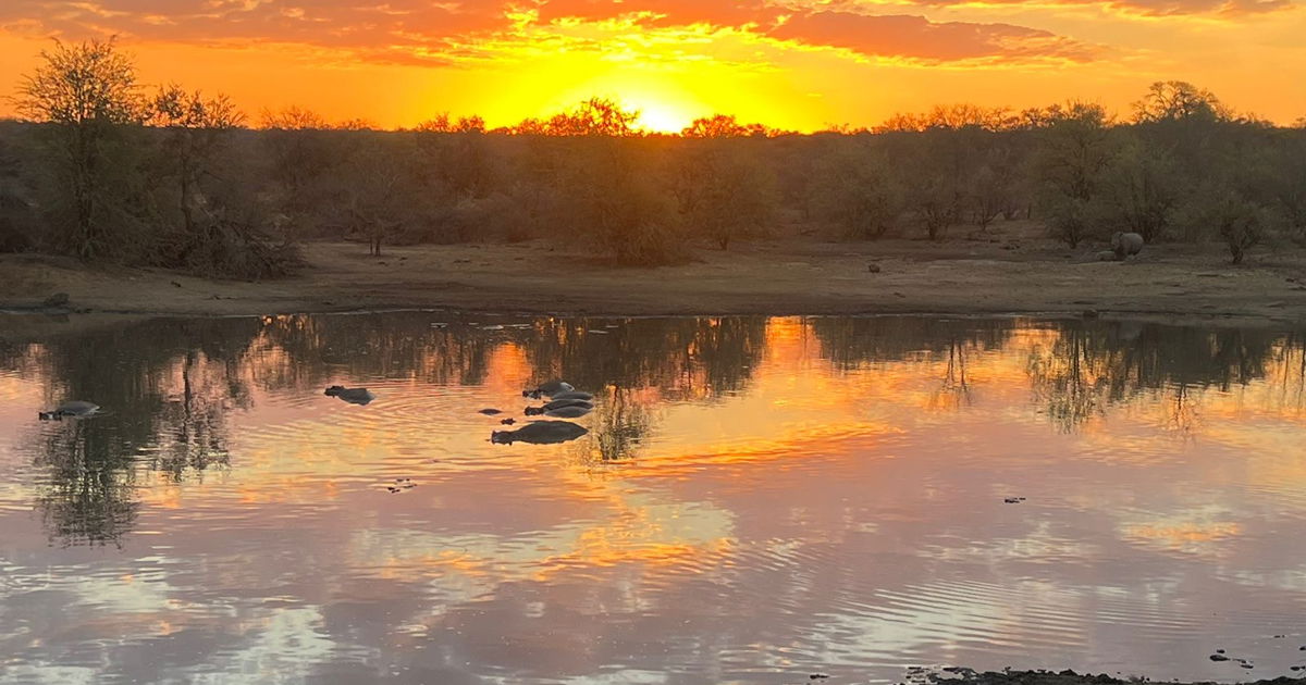 #Kruger National Park