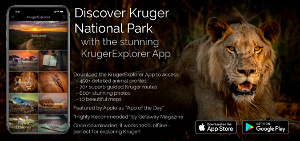 Kruger Explorer App