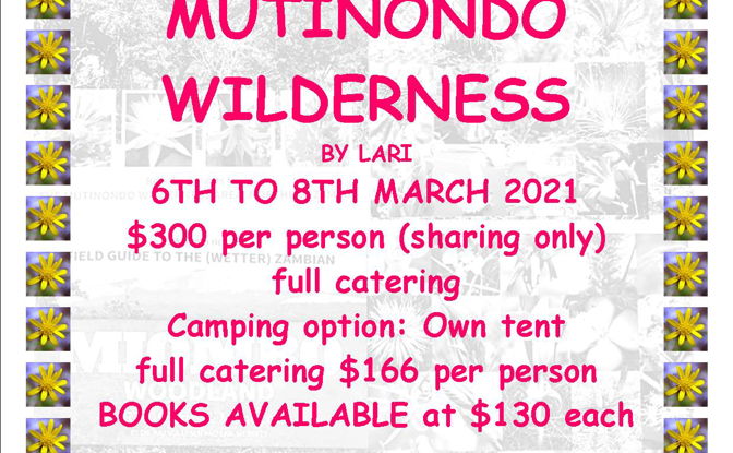 Introduction to Wildflowers at Mutinondo