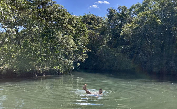 Wild Swimming