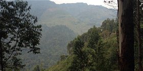 Batwa cave trail in Mgahinga