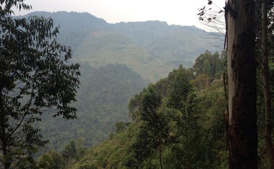Batwa cave trail in Mgahinga