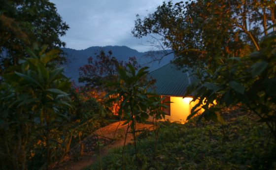 Family Cottages