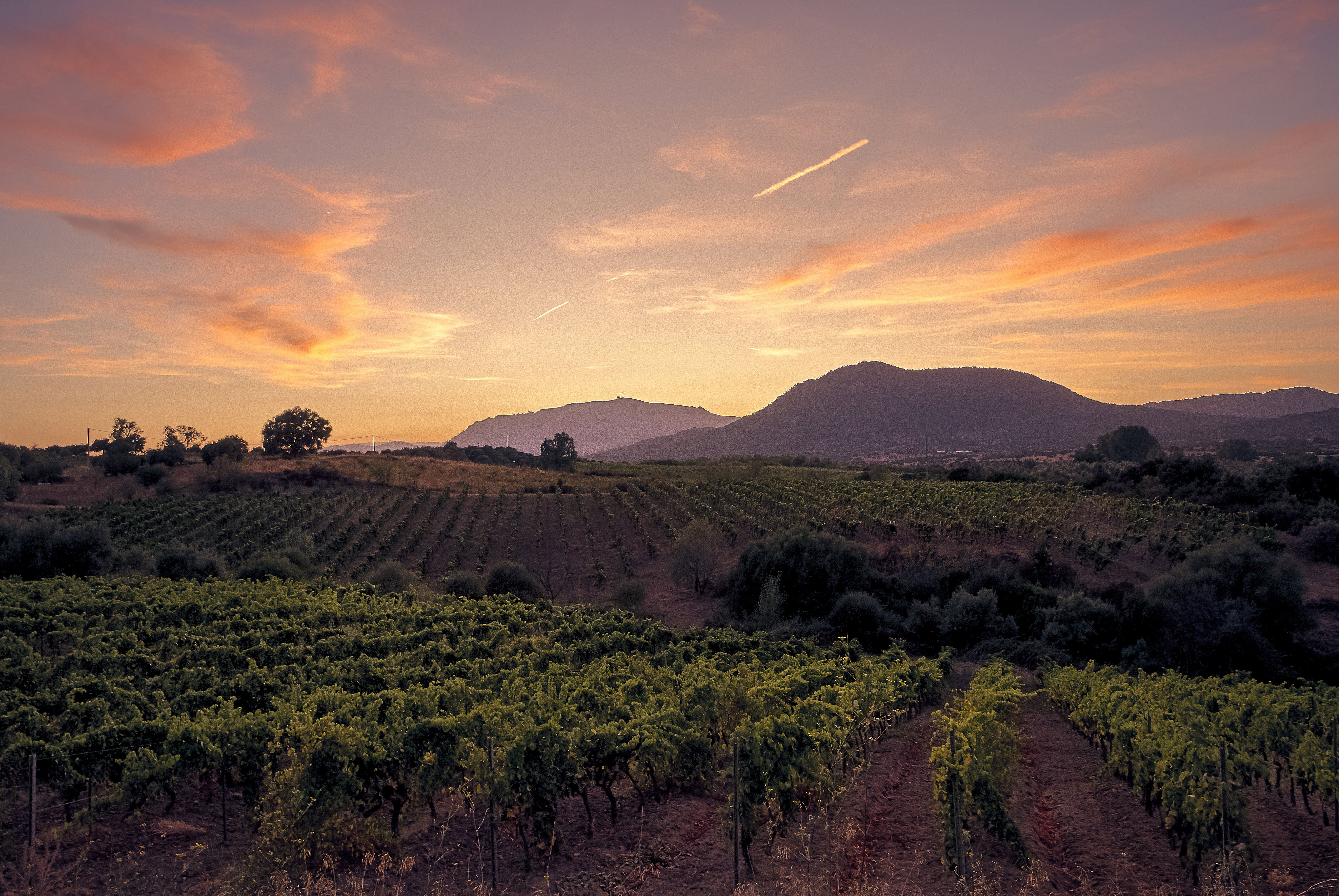 Wine Farms Montagu