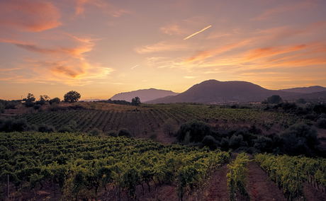 Wine Farms Montagu Wine Farms Montagu