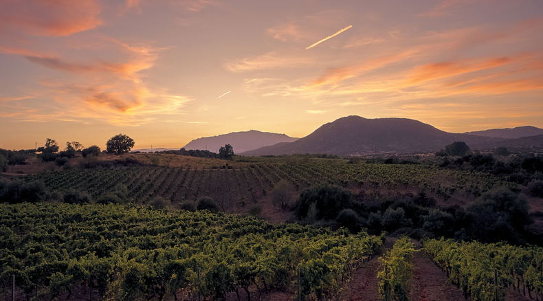 Wine Farms Montagu Wine Farms Montagu