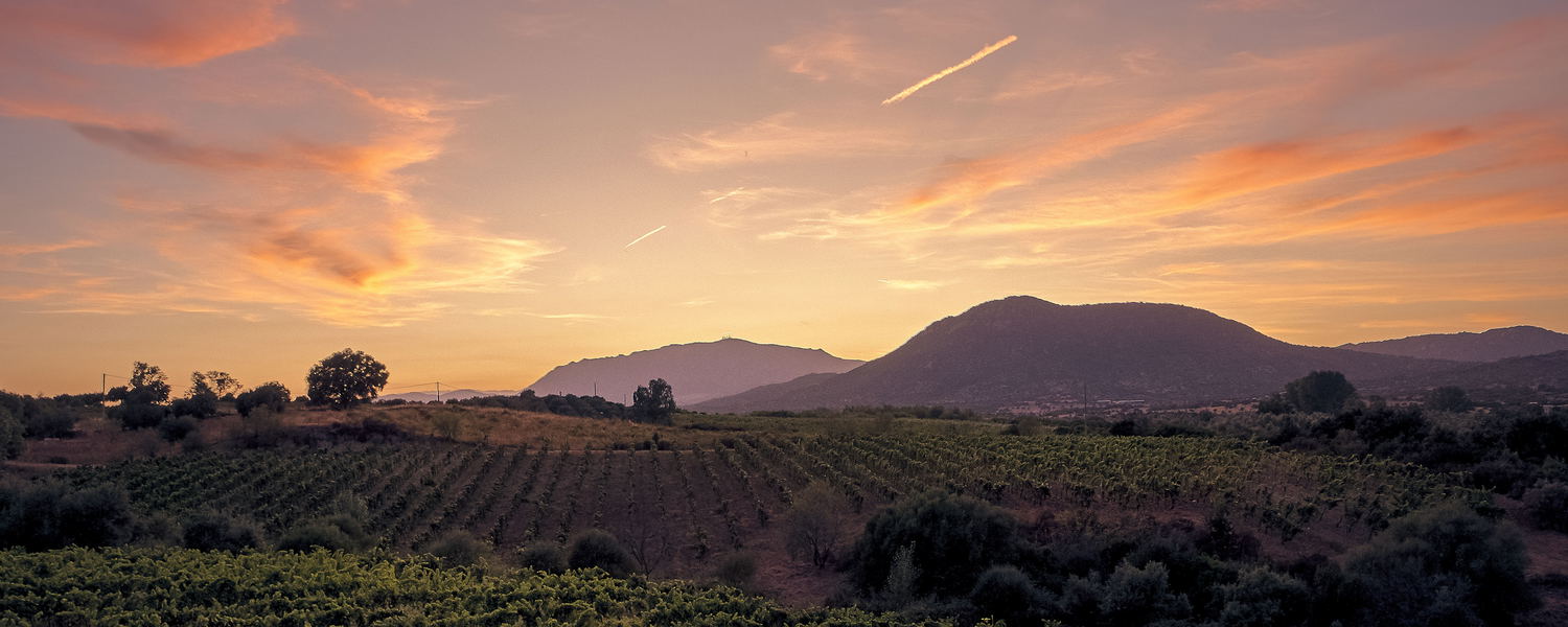 Wine Farms Montagu