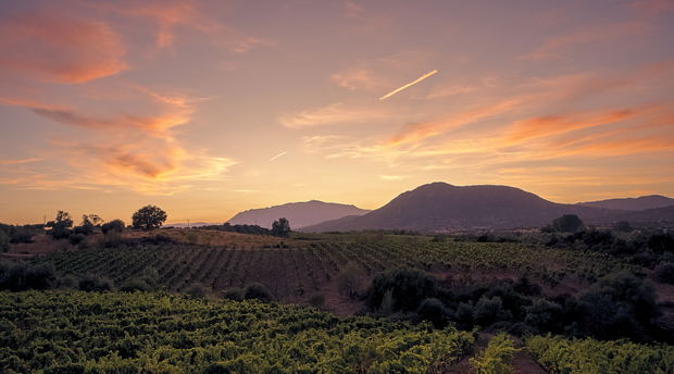Wine Farms Montagu