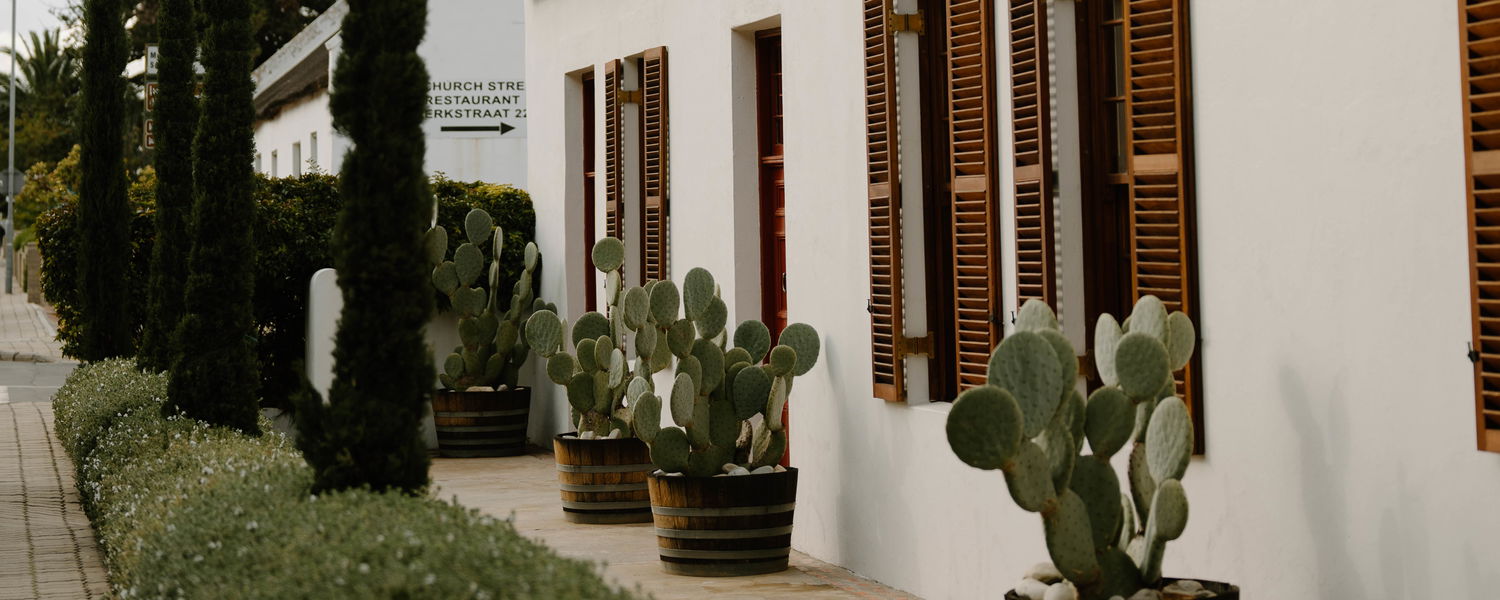 Montagu Art Experiences