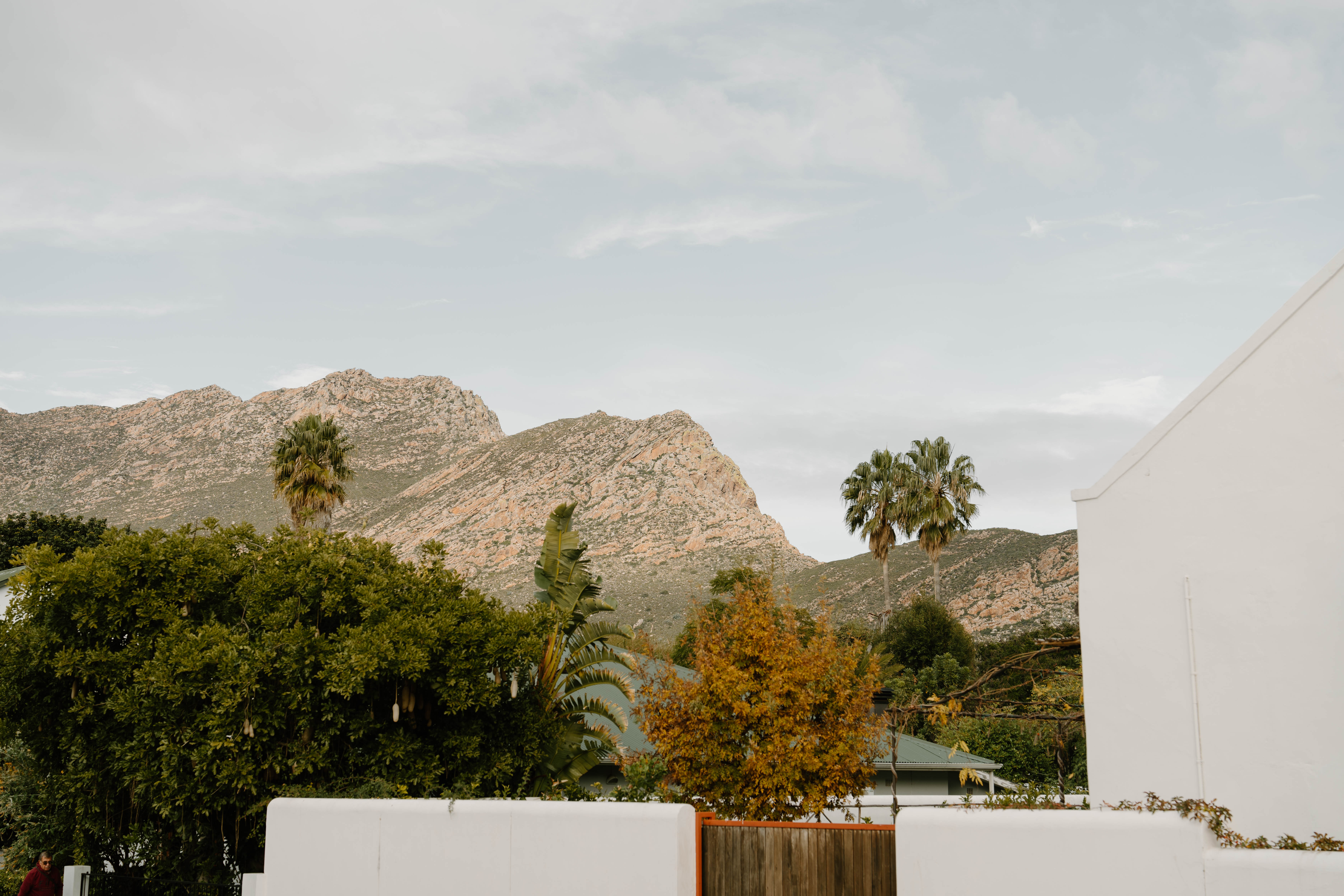 Montagu Museum Complex | In Abundance Luxury Guest House