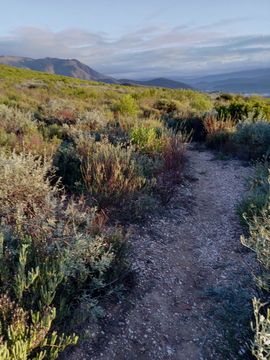 Montagu hiking retreats