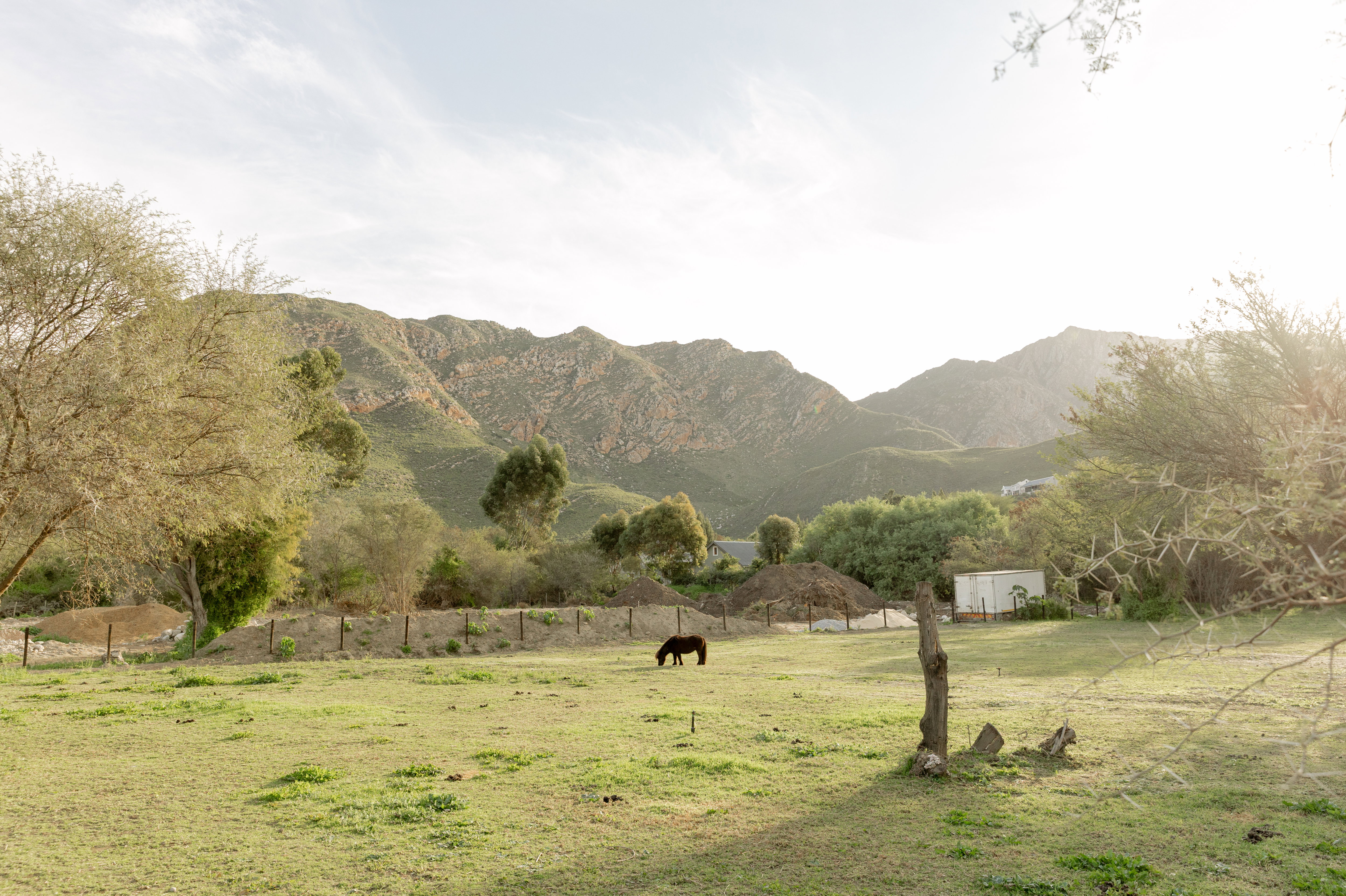 In abundance, surroundings, moutains 
