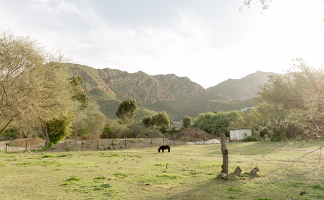 In abundance, surroundings, moutains 