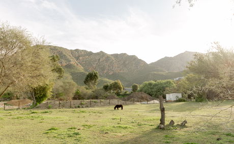 In abundance, surroundings, moutains In abundance, surroundings, moutains